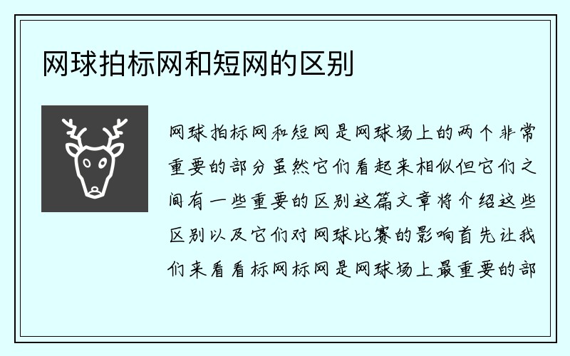 网球拍标网和短网的区别