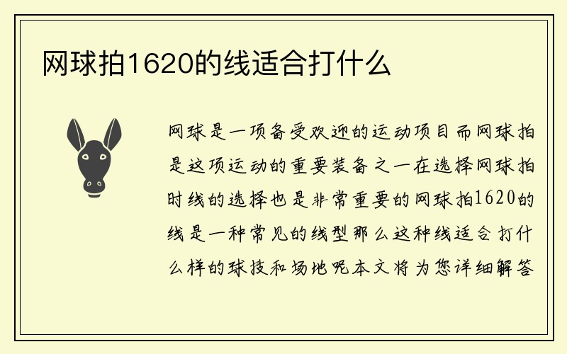 网球拍1620的线适合打什么