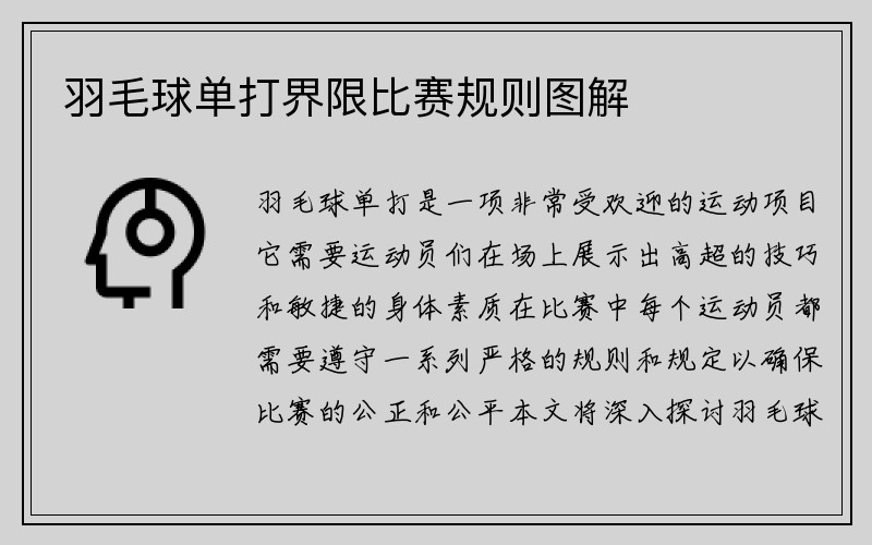 羽毛球单打界限比赛规则图解